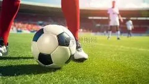 球迷冲场观战国足对日比赛，被行政拘留十天，中新网报道